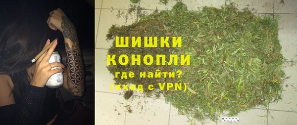 прущие грибы Армянск