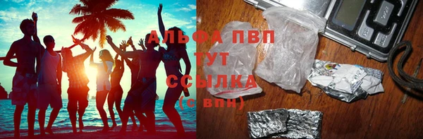 прущие грибы Армянск