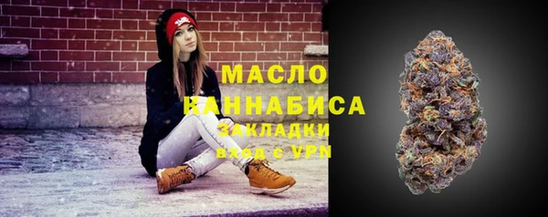 прущие грибы Армянск