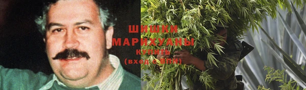 прущие грибы Армянск